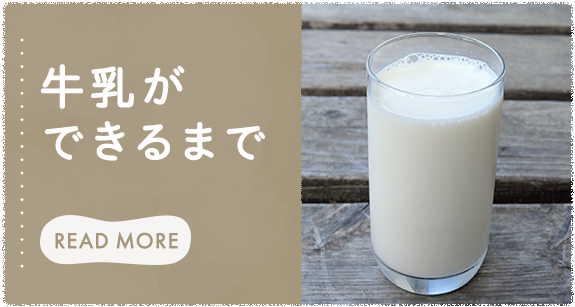 牛乳ができるまで